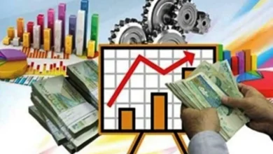 خطیبی: جذب اعتبارات دولتی به عنوان اولویت اصلی ادارات ملارد محسوب می شود