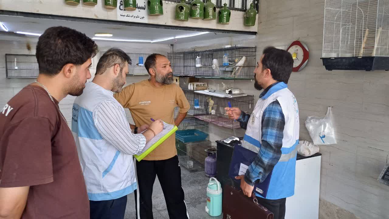 اخطار به واحد پرنده‌ فروشی متخلف در ملارد / اشغال پیاده‌ رو و آلودگی محیطی