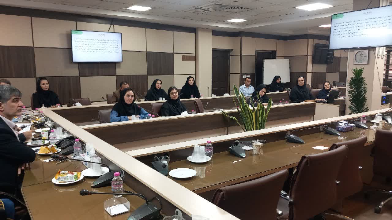 فرماندار ملارد: کیفیت آب و سگ‌های ولگرد نیازمند اقدام جدی است