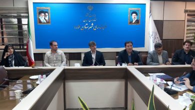 فرماندار ملارد: کیفیت آب و سگ‌های ولگرد نیازمند اقدام جدی است