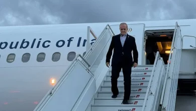 استقبال مردمی از پزشکیان در فرودگاه مهرآباد