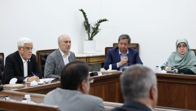 بسته یارانه ها در دستور کار دولت ؛ عارف یک هفته مهلت داد