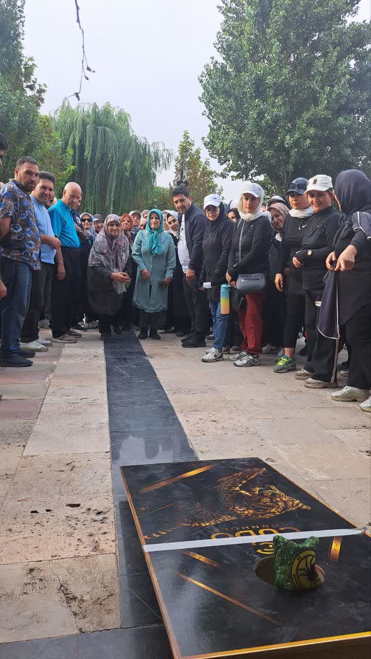 سالمندان ملارد به میدان ورزش آمدند