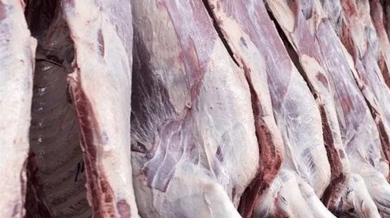 مجوز گوشت اسب و الاغ صادر شد؟ ماجرای نامه جنجالی دامپزشکی چیست