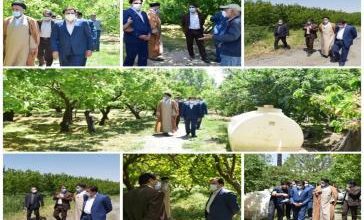 بازدید فرماندار ‌و امام جمعه شهرستان از باغات سرمازده ملارد