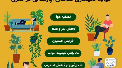 فواید نگهداری گیاهان آپارتمانی در منزل